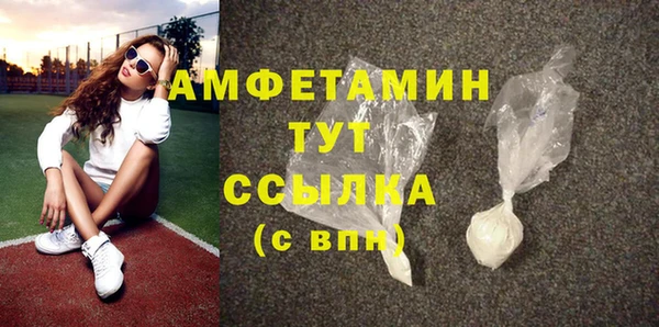 гидра Богородицк