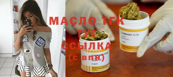 гидра Богородицк