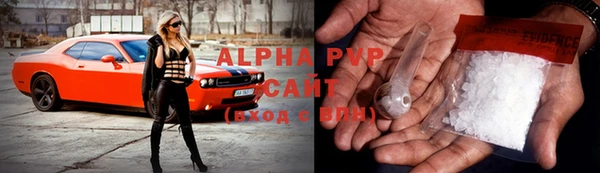 прущий лед Бородино