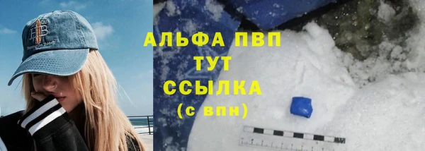 гидра Богородицк