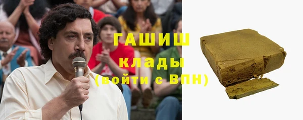 гидра Богородицк