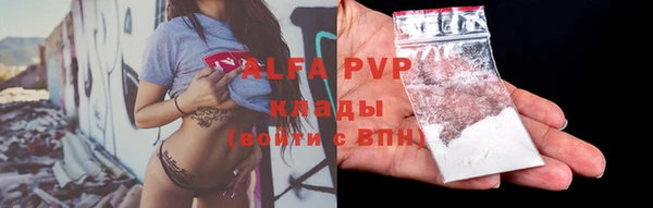 гидра Богородицк