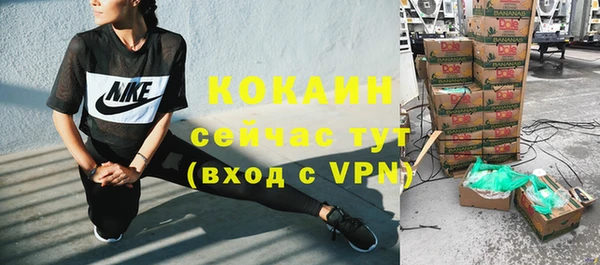 прущий лед Бородино