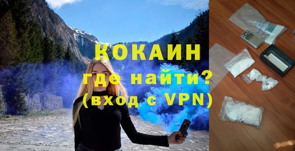 гидра Богородицк