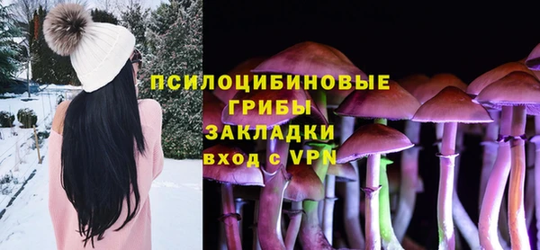 дживик Грязовец