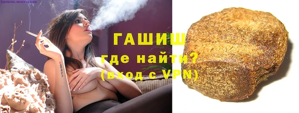 гидра Богородицк