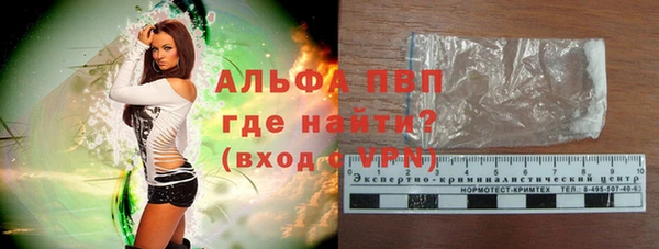 гидра Богородицк