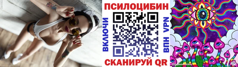 Галлюциногенные грибы Psilocybe  OMG онион  Красный Кут  цены наркотик 